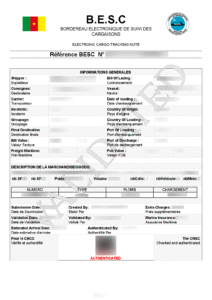 Cameroon BESC Example