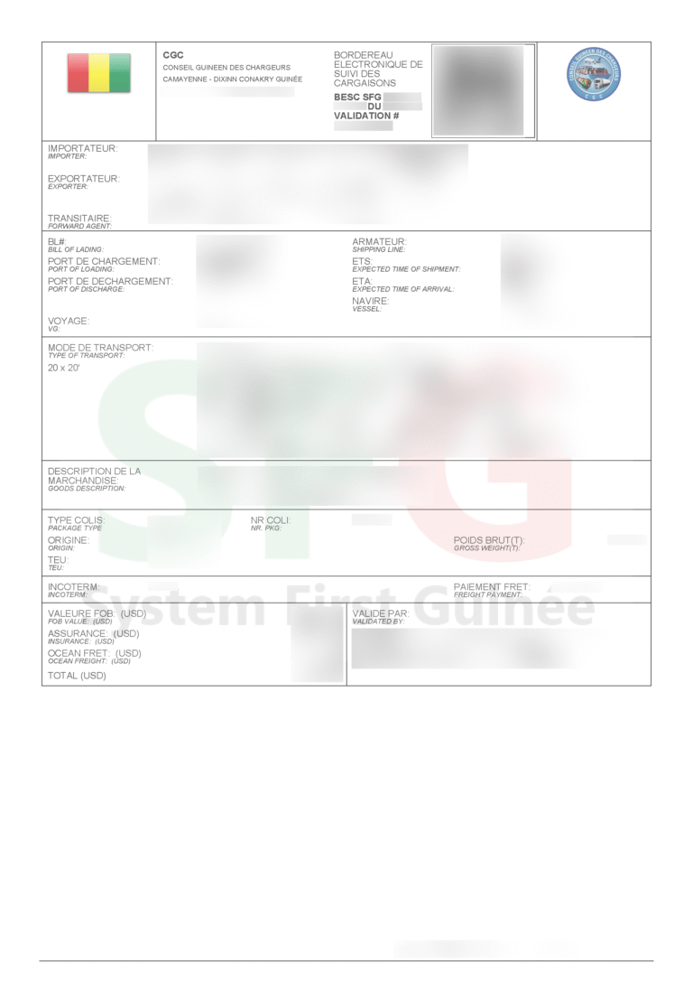 Republic of Guinea BESC Example