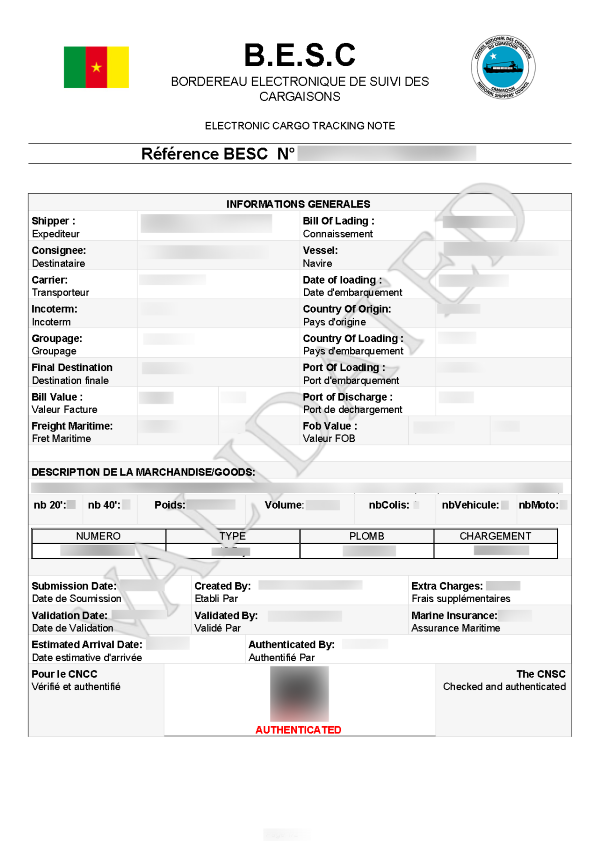 Cameroon BESC Example
